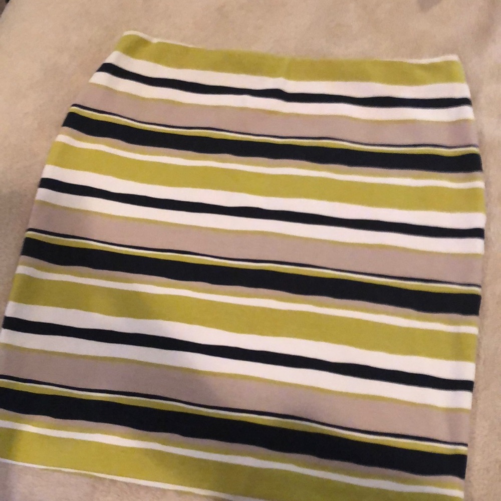 Ann Taylor Skirt